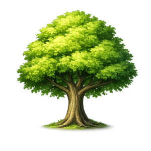 Les arbres ♡